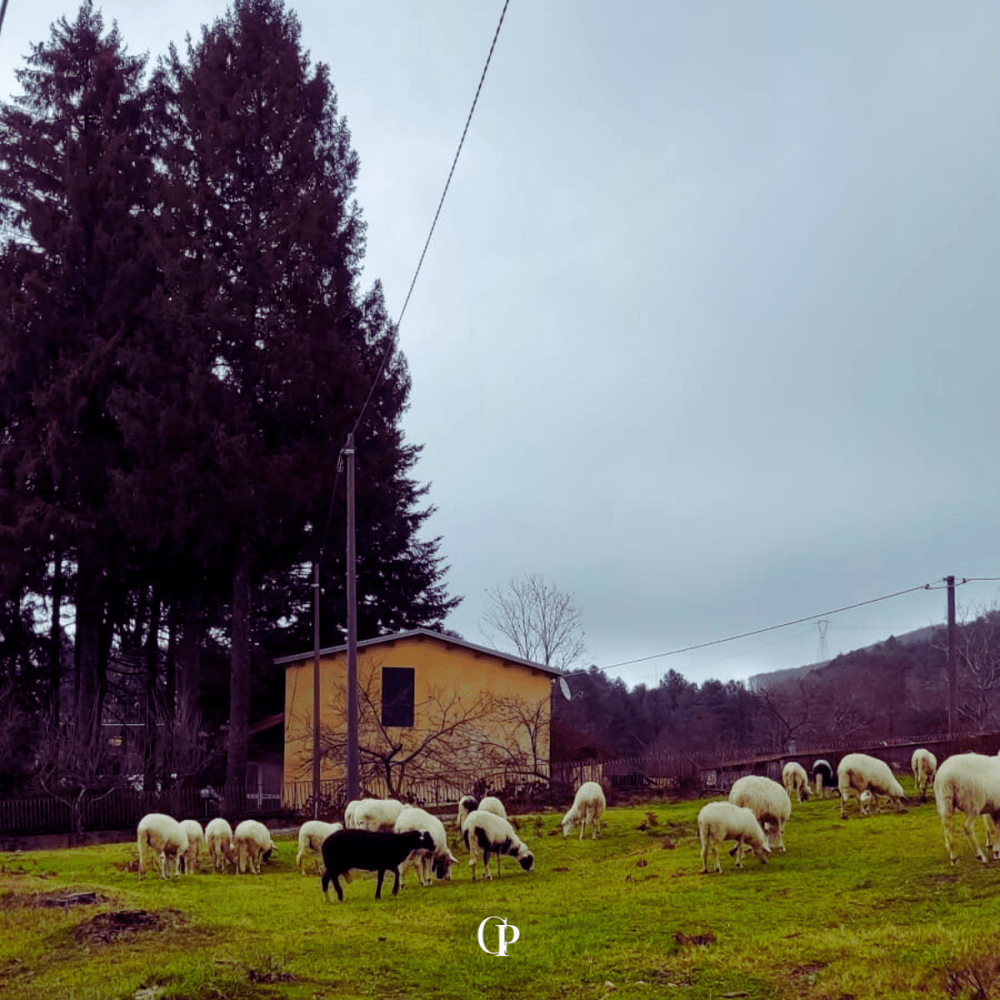 Comunión entre religión y gastronomía