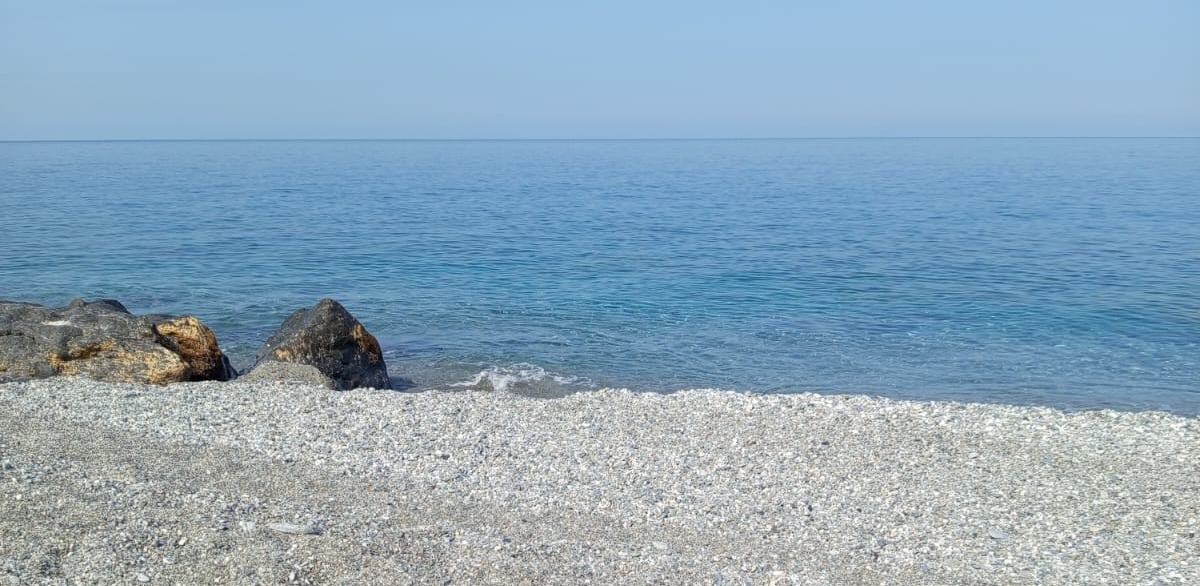 Boletín #26 | Mitad de año, vacaciones y metas sin tachar