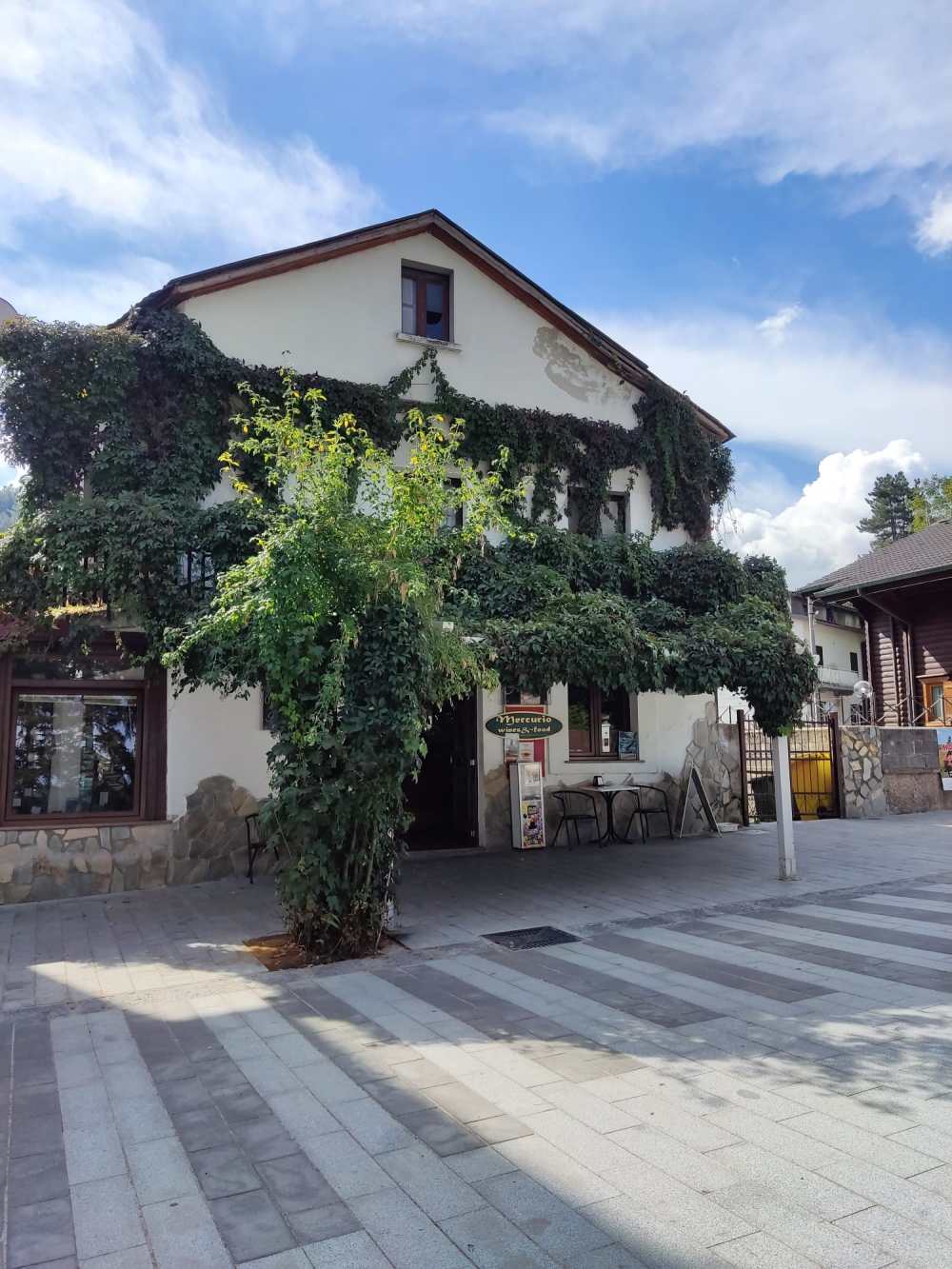 Boletín #38 | Segunda temporada, primer paseo de otoño